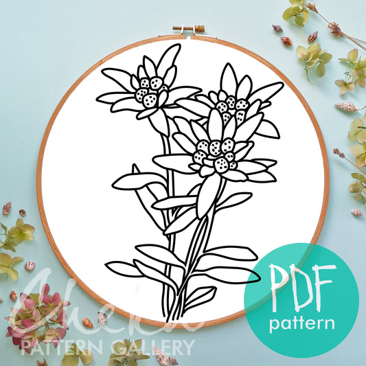 Edelweiss hand embroidery pattern. Edelweiss design, beautiful mountain flower. Botanical embroidery. Austrian Folk embroidery designs